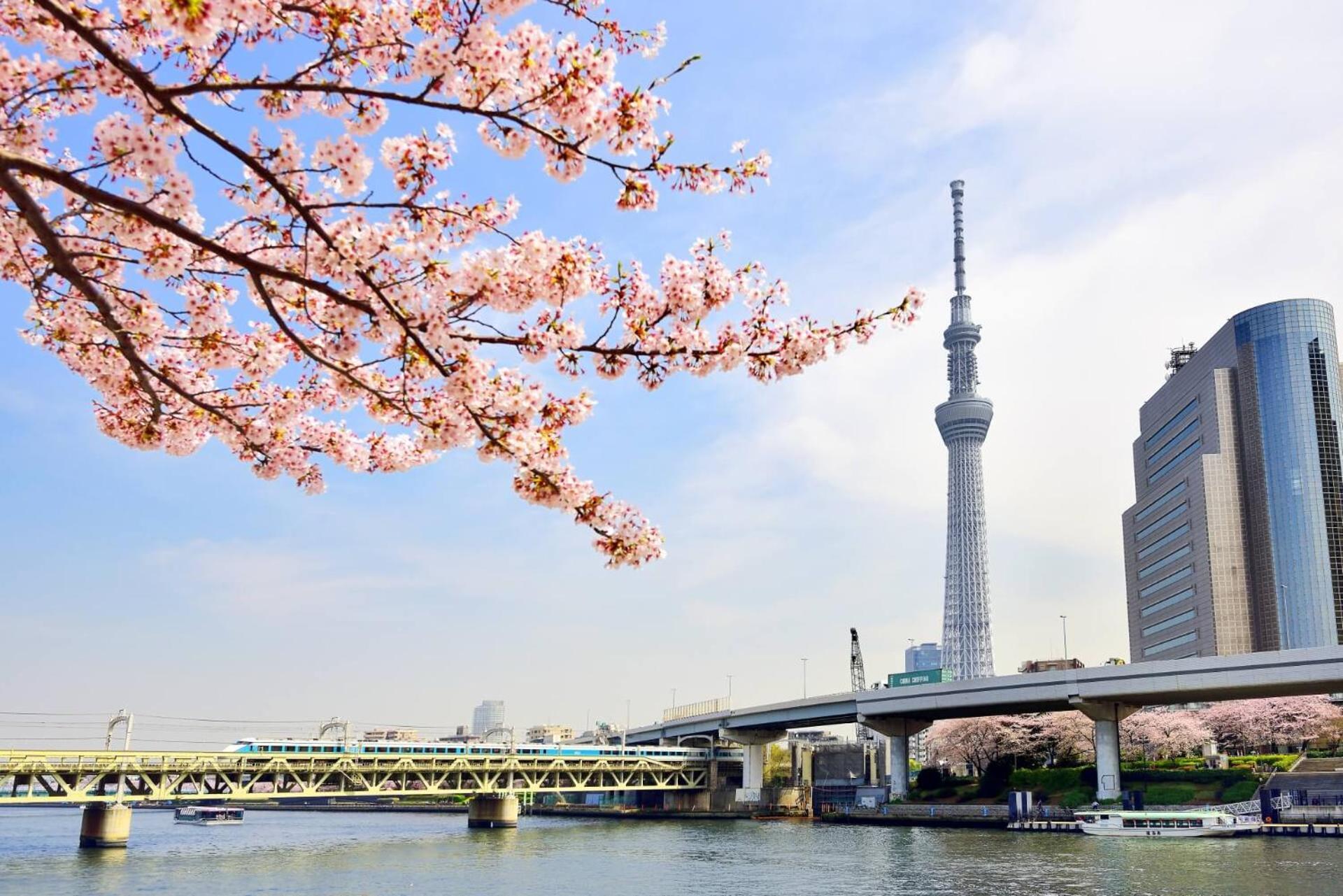 Honeys Guest House Tokyo Luaran gambar